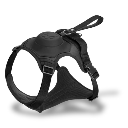 All-in-One Retractable Leash & Harness Set