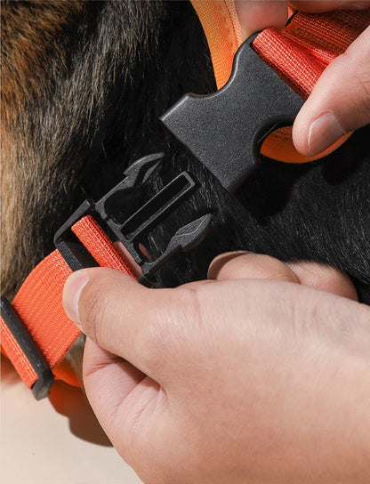 All-in-One Retractable Leash & Harness Set