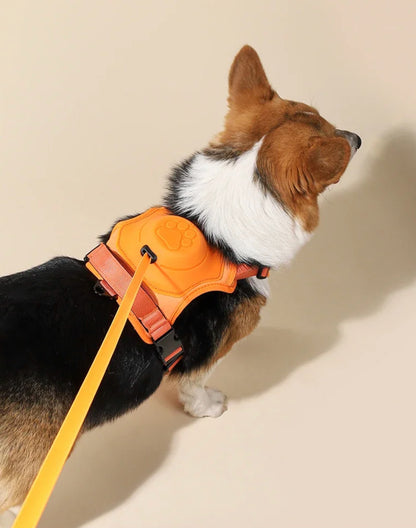 All-in-One Retractable Leash & Harness Set