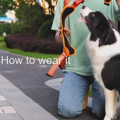 All-in-One Retractable Leash & Harness Set